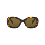 LODEN LENSES