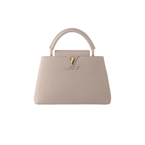 LV BAG