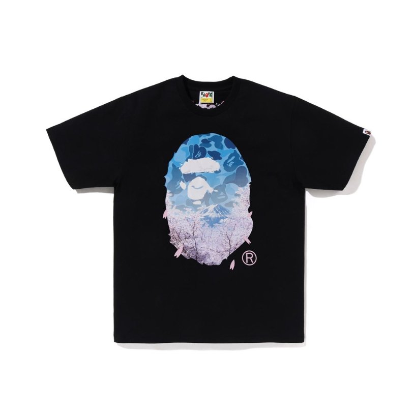 sfsfd32-2.jpg BP T-shirt Mt. Fuji Sakura Camo - Image 1